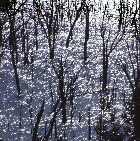 Spirits of the Lake